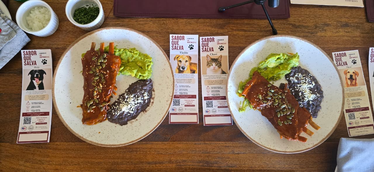 "Sabor que Salva" busca convertir cada platillo en alimento para perros y gatos rescatados