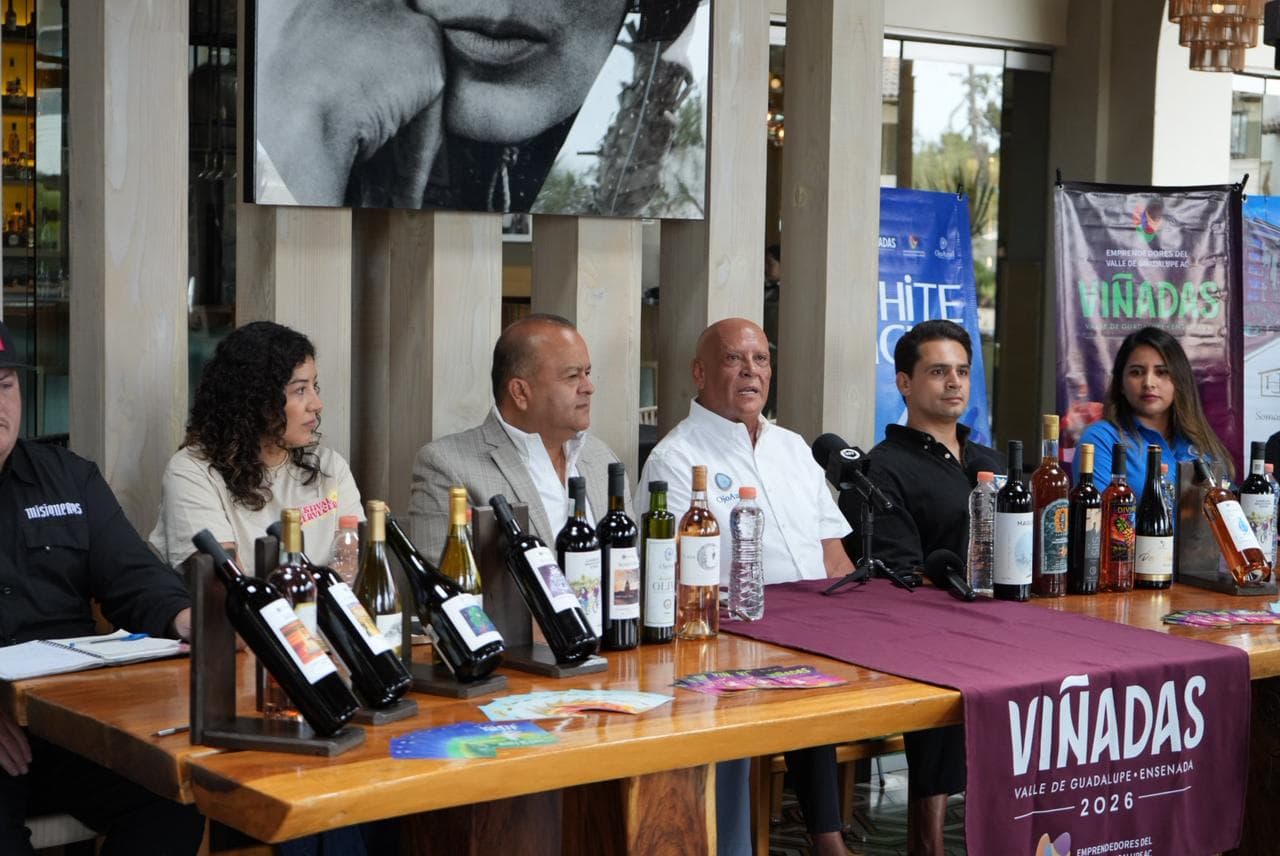 Viñadas se duplica en dos años y consolida al Valle de Guadalupe como motor del enoturismo