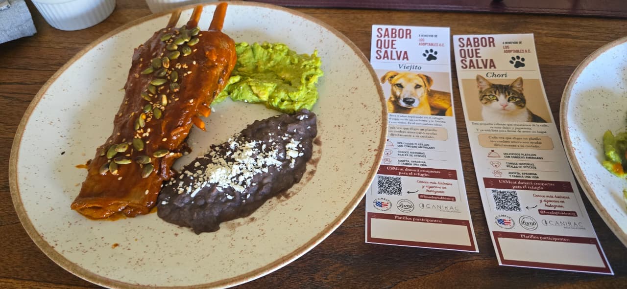 "Sabor que Salva" busca convertir cada platillo en alimento para perros y gatos rescatados