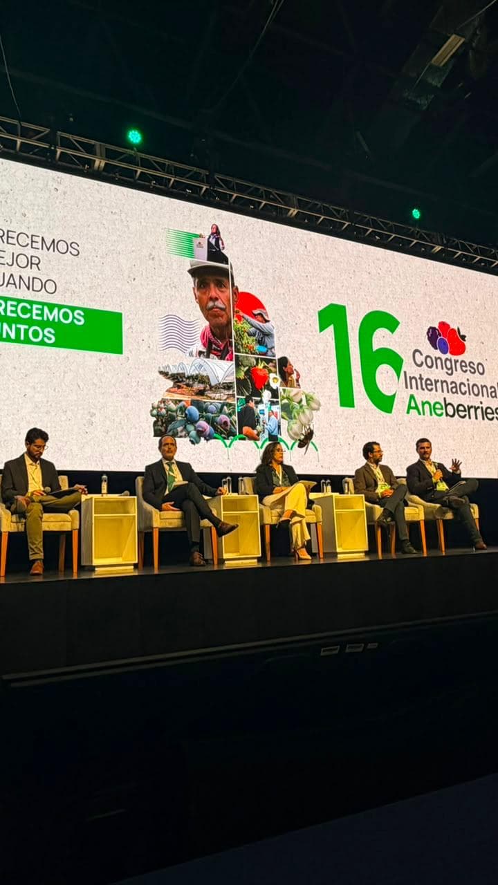 Baja California lleva su liderazgo agrícola al foro que analiza las perspectivas futuras de las berries