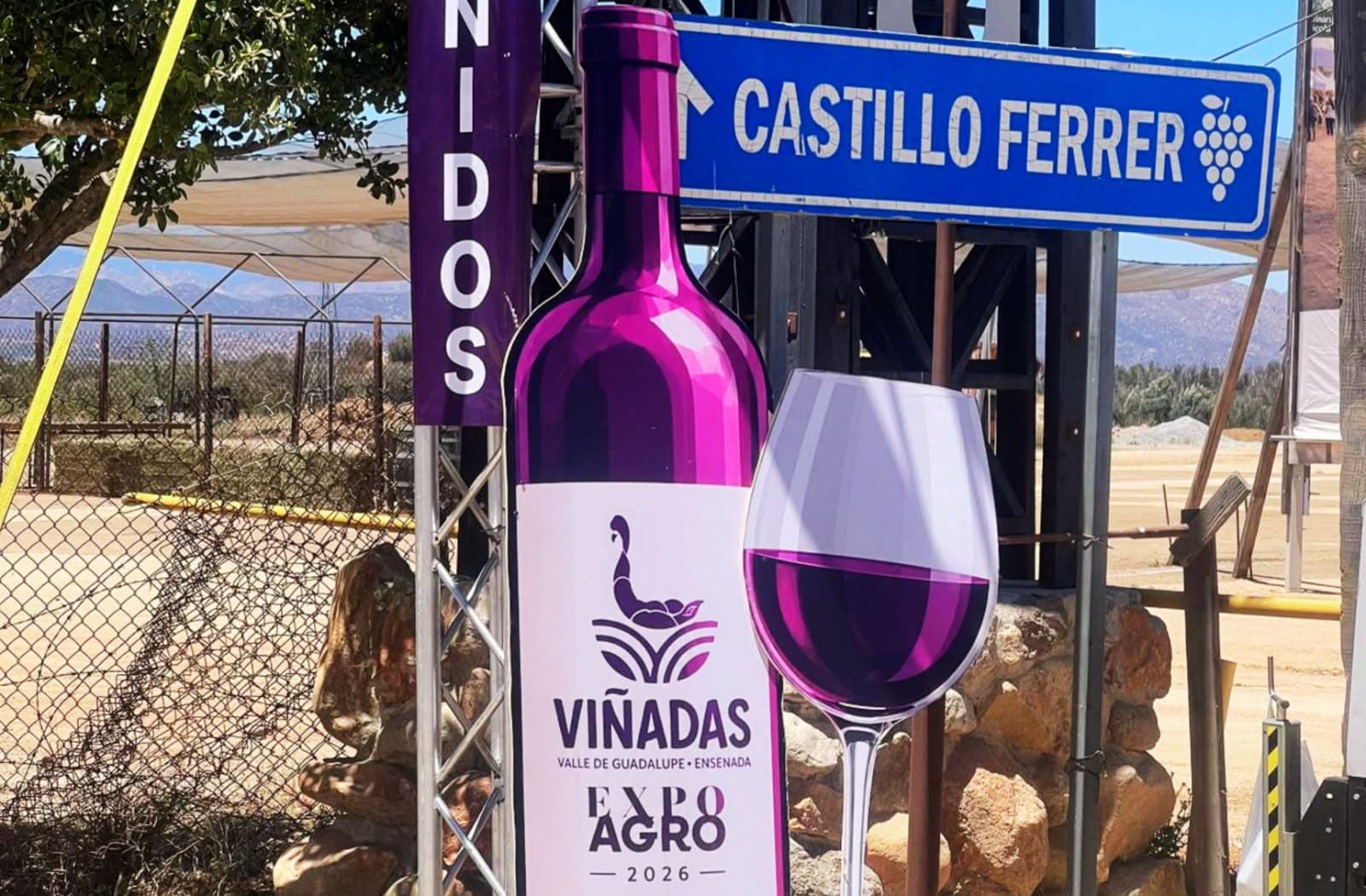 Eventos de 'Viñadas 2026' reúnen a miles de visitantes en el Valle de Guadalupe