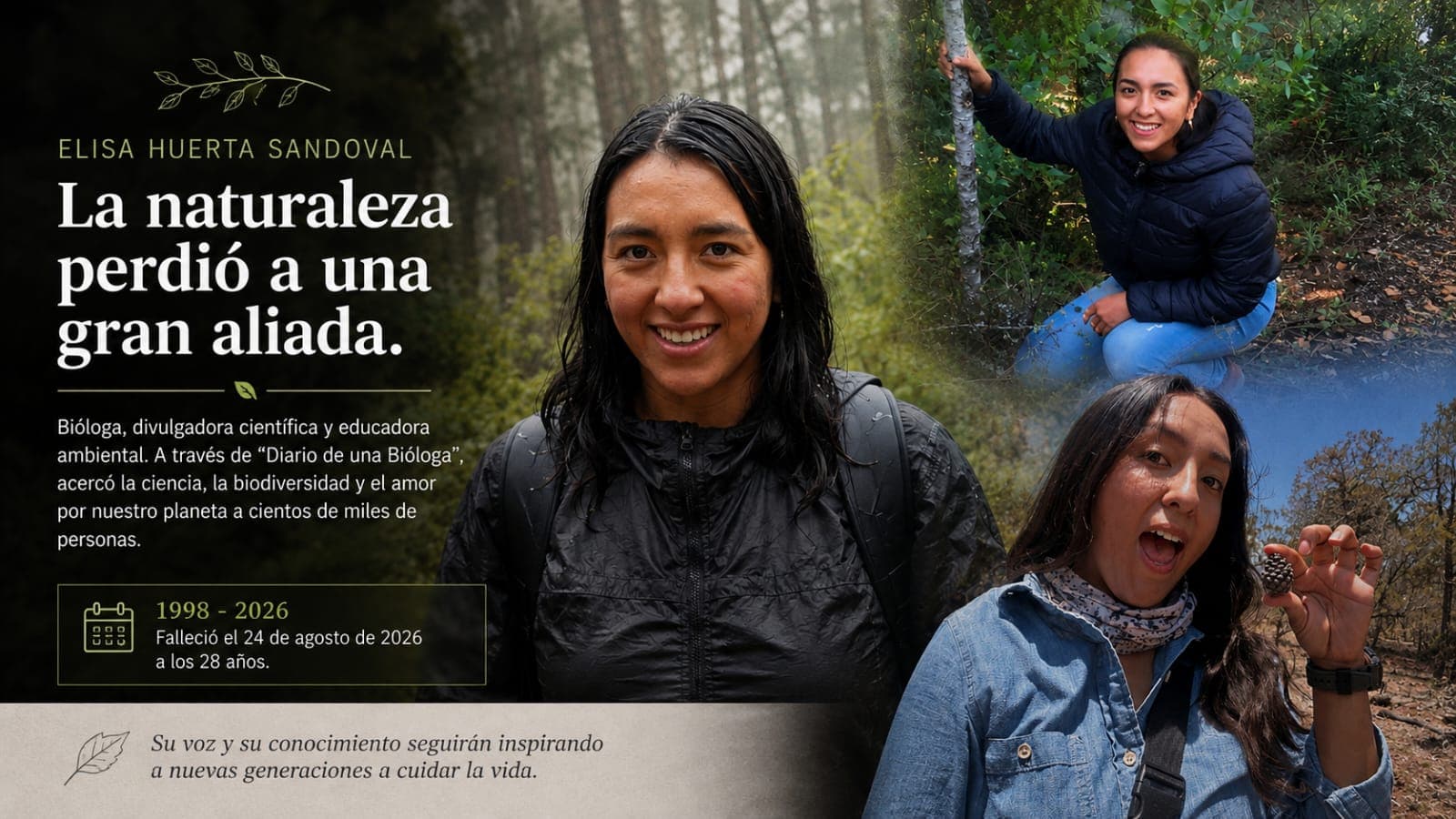 Nota sin contenido recibido
