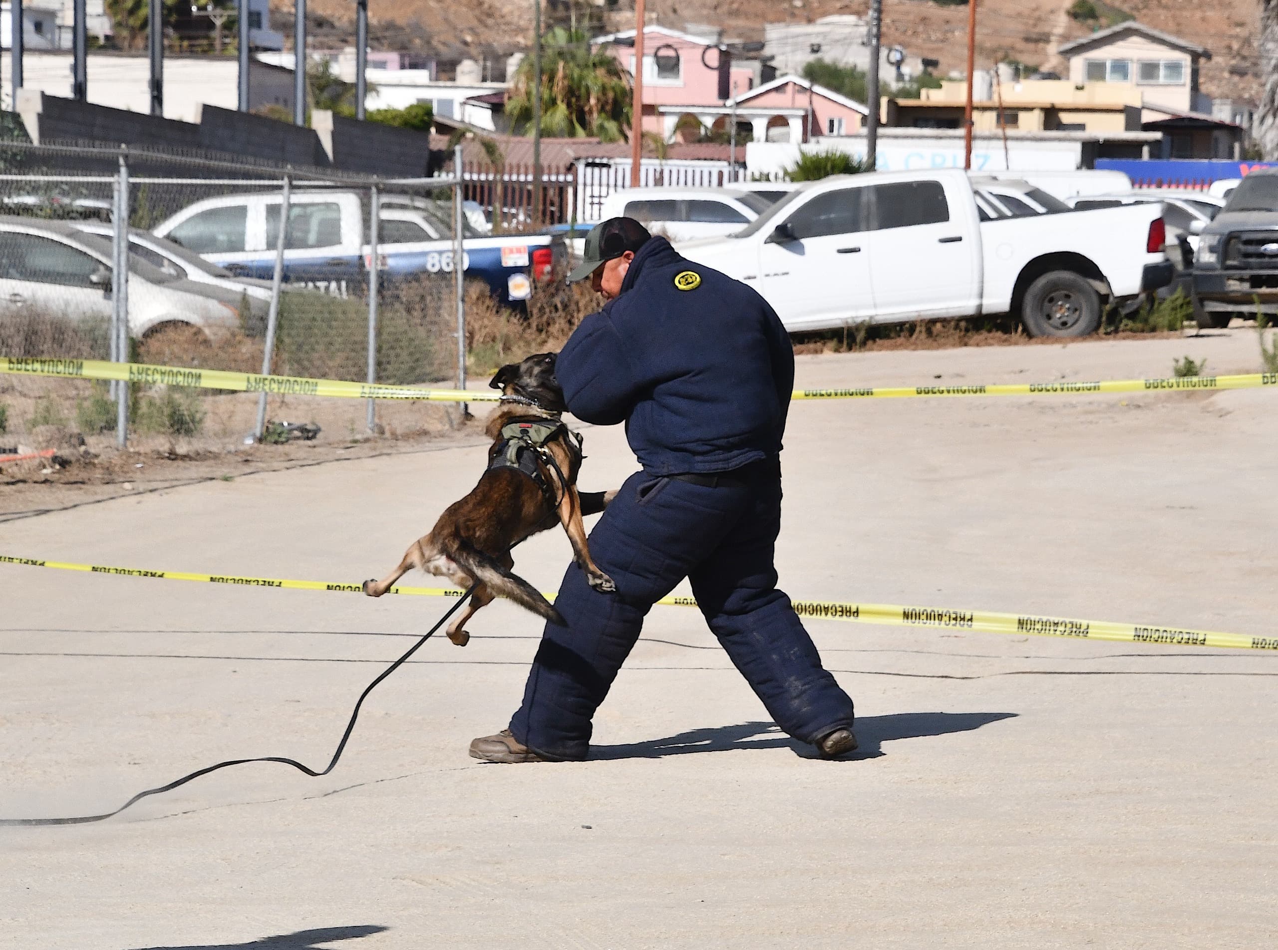 Obtiene Unidad K-9 de la Fiscalía de Baja California certificación internacional que fortalece sus capacidades operativas