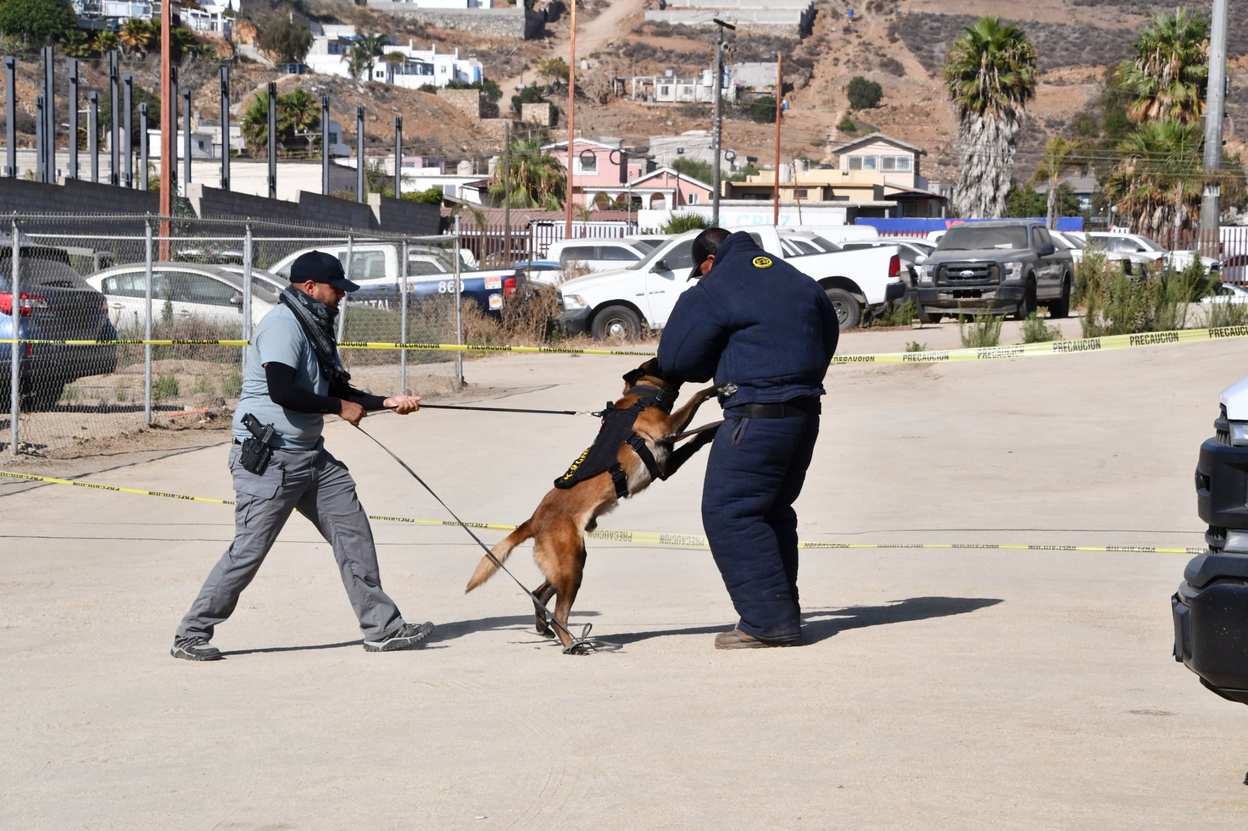 Obtiene Unidad K-9 de la Fiscalía de Baja California certificación internacional que fortalece sus capacidades operativas