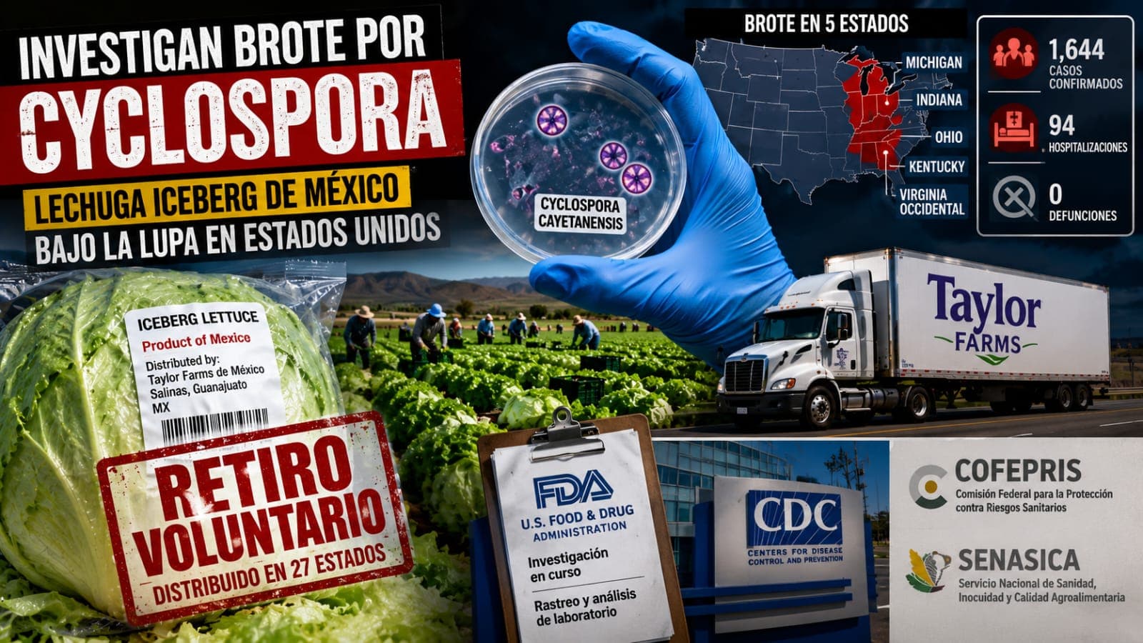 Retiran del mercado de EU toda la lechuga iceberg de Taylor Farms proveniente de México; FDA confirma muestra positiva a Cyclospora
