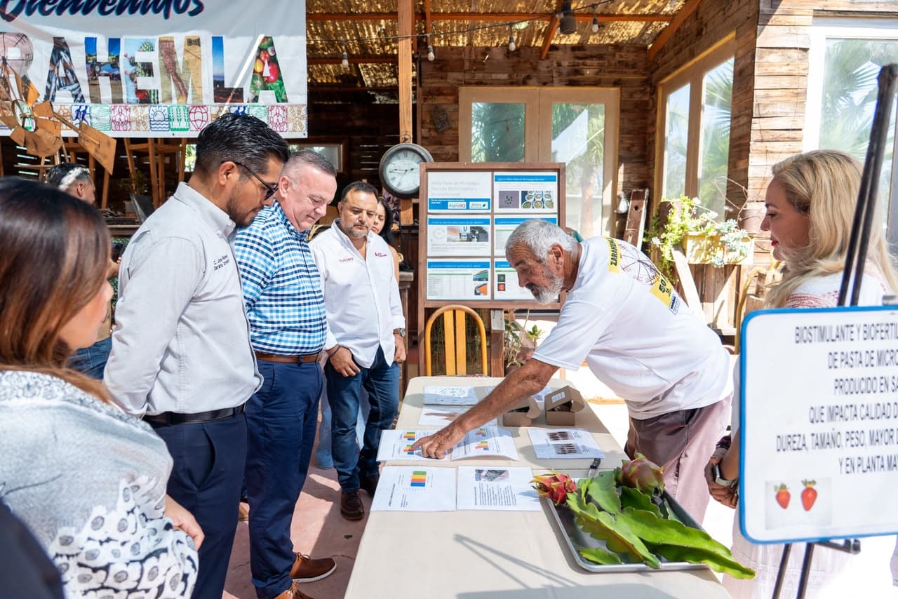 Destinan 439 mil pesos a cinco proyectos turísticos de San Quintín