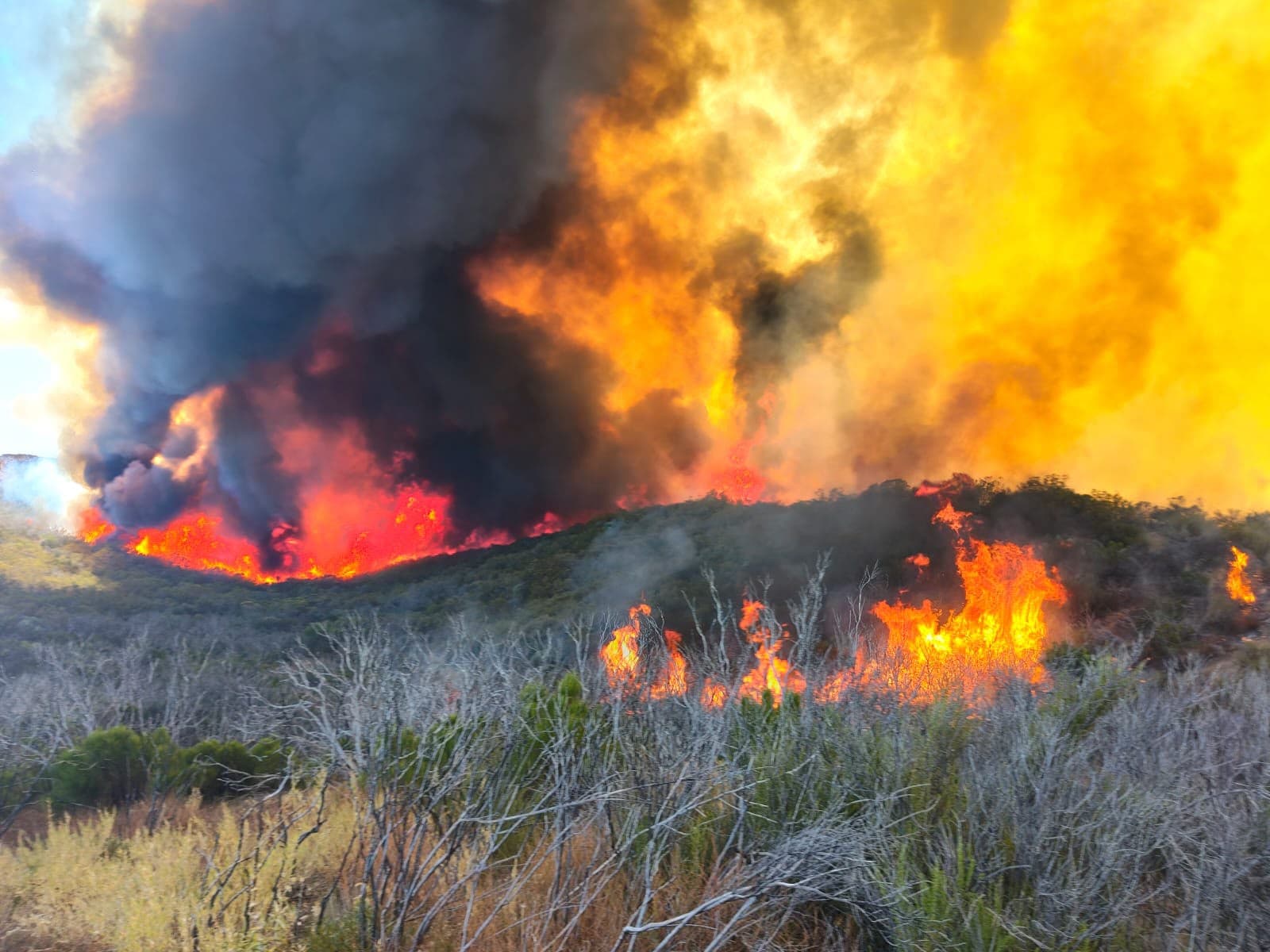 Avanza control de incendio forestal en el Valle de la Trinidad; reporta Bomberos 40% de avance