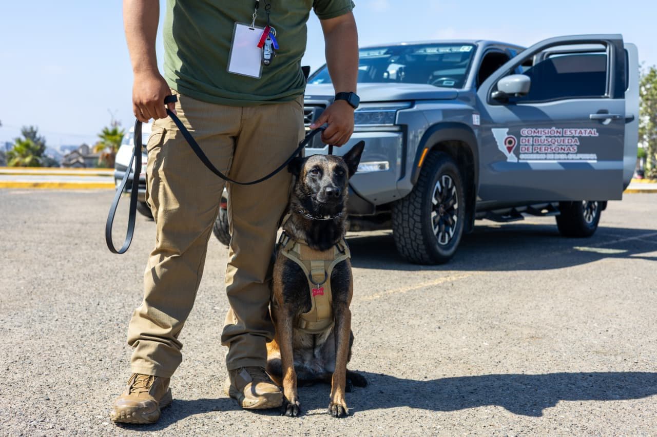 Refuerza Comisión Local de Búsqueda capacidades operativas del binomio K9 en copa internacional