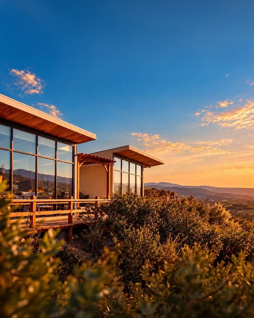 Contemplación entra a la Guía MICHELIN 2026 y proyecta al Valle de Guadalupe ante el mundo: Paco Bazán